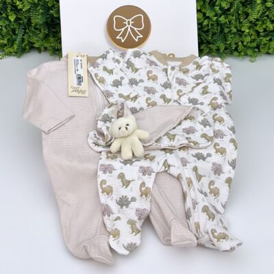 Kit Dois Macacões M/C Estampa Dinossauros  + Naninha