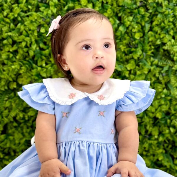 Vestido Paloma Azul Claro Bordado Rococó - Imagem 5