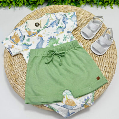 Conjunto Dinossauro Verde