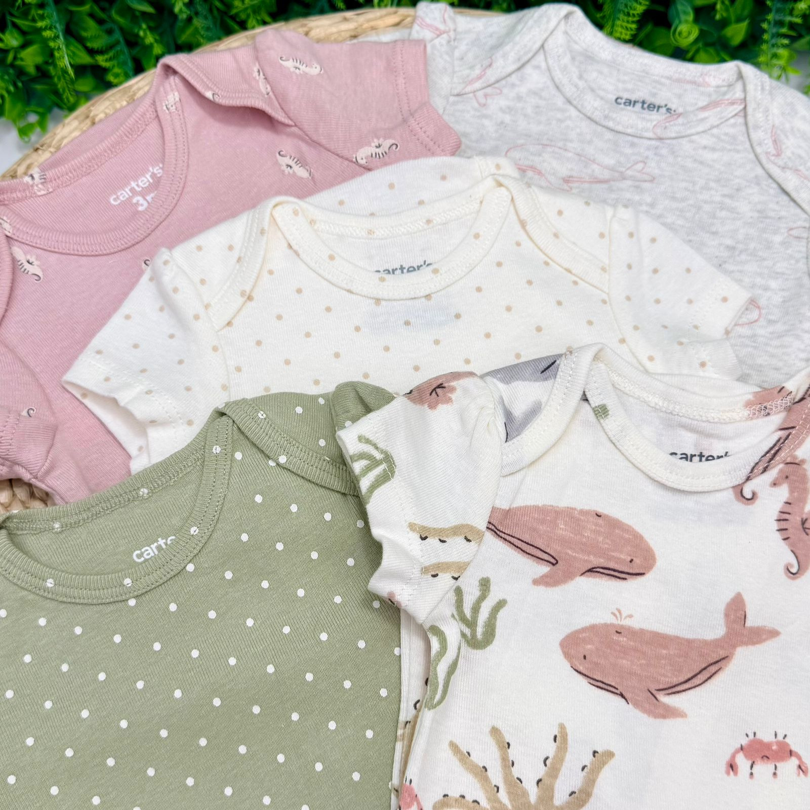 Kit Body Carters® Estampa Feminina - Imagem 2