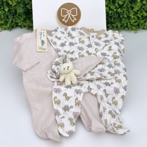 Kit Dois Macacões M/C Estampa Dinossauros + Naninha